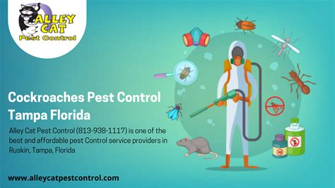 Pest Control Company Tampa Florida 813 938 1117