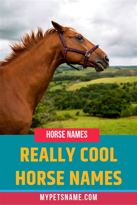 Horse Show Names Artofit