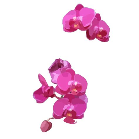 Pink Orchids Png Svg Clip Art For Web Download Clip Art Png Icon Arts