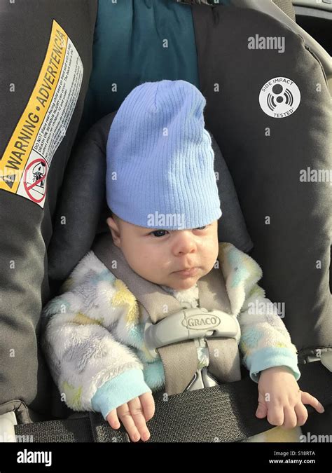 Gangster Baby Stock Photo 310595610 Alamy