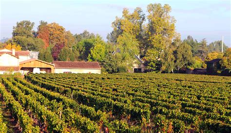 Pomerol Wines Site De Chateaulaganne