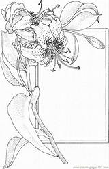 Coloring Pages Lily Flower Print sketch template