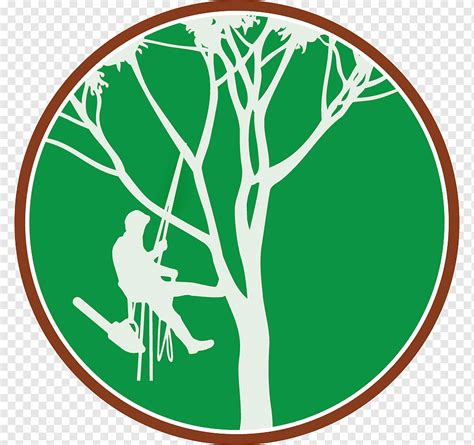 تسلق الشجرة Arborist Branch، Tree ورقة شعار عشب Png