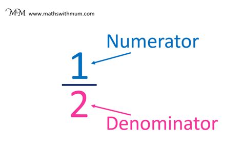 Numerator And Denominator Worksheet