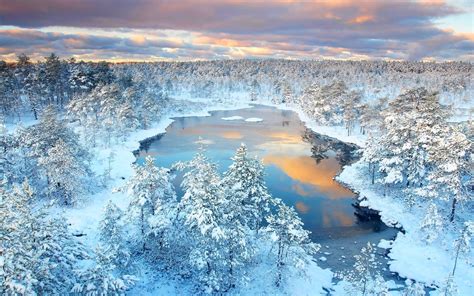 Winter Forest Lake Snow Trees Reflection Nature Sunset Clouds Cold Landscape Water