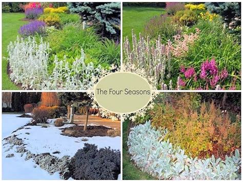 Check spelling or type a new query. A GUIDE TO NORTHEASTERN GARDENING: The Four Seasons of ...