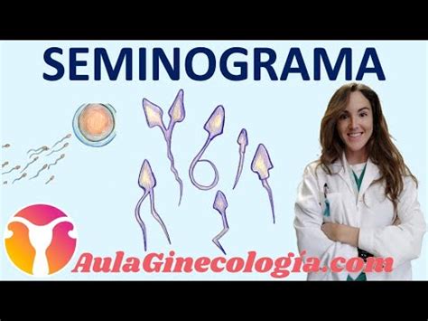 Seminograma Qu Es Y C Mo Se Interpreta El Semen En Reproducci N Ginecolog A Y Obstetricia