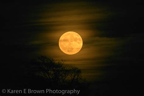 Fall Harvest Moon Photography