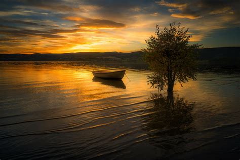 Lakes Lake Boat Lonely Tree Sunset Hd Wallpaper Wallpaperbetter