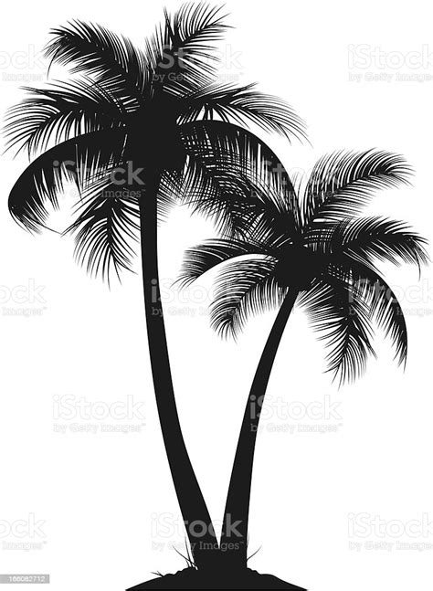 Palm Trees Stock Illustration Download Image Now Istock