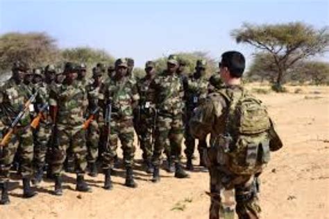 Nigeria ‘hires Mercenaries To Battle Boko Haram Vanguard Politics