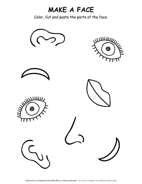 10 Best Images Of Face Parts Worksheet For Kindergart