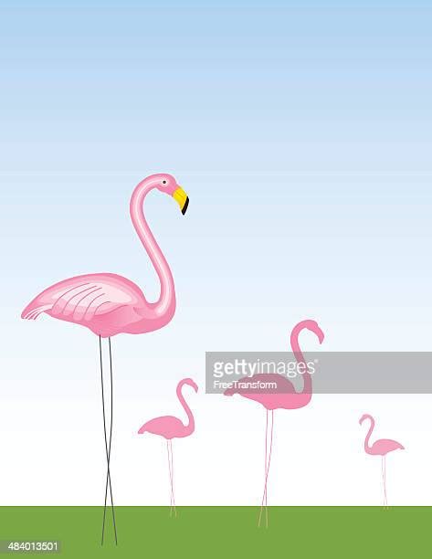 Pink Flamingos In Yard Photos And Premium High Res Pictures Getty Images