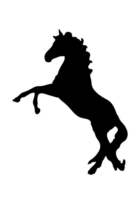 Rearing Black Horse Silhouette Free Stock Photo Public Domain Pictures