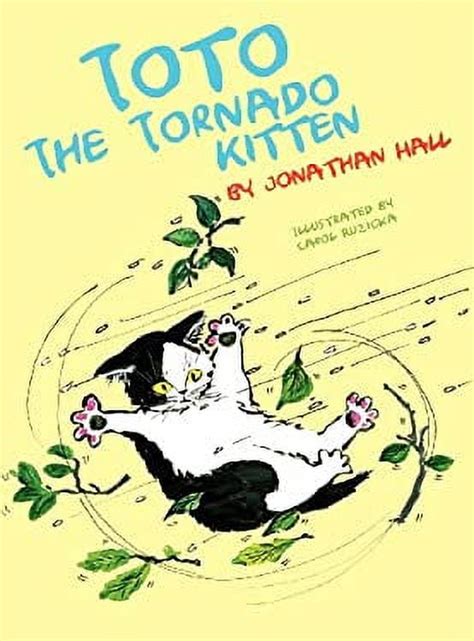 Toto The Tornado Kitten 9780615591018 Used Pre Owned