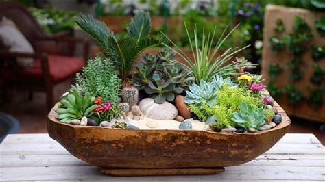 10 Succulent Dish Garden Ideas Stylish As Well As