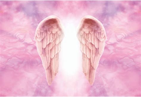 Dorcev 8x5ft Pink Angel Wings Photography Backdrop Uk