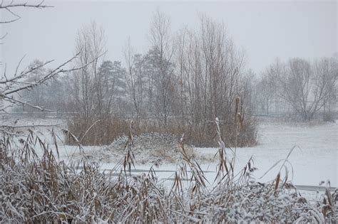 First Snow This Winter 5 By Natureofodenwald On Deviantart