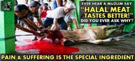 Do you know how to register to vote in india? Petition · Ban inhumane halal meat slaughter in India ...