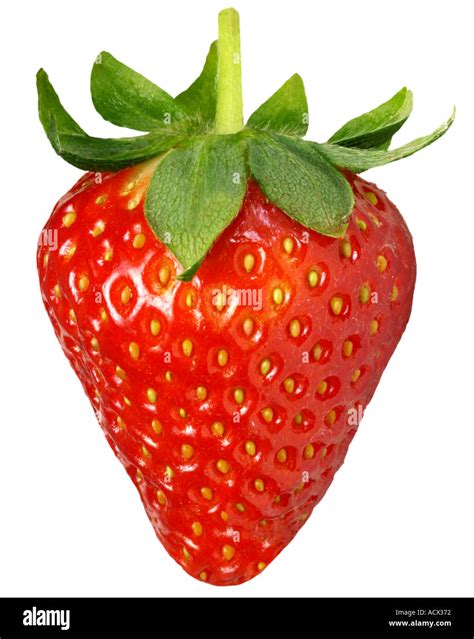 Whole Strawberry Cut Out Stock Photo Alamy