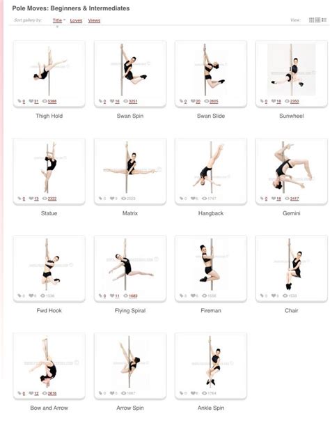 Beginner And Intermediate Moves Pole Fitness Moves Pole Dance Moves Pole Dancing Fitness