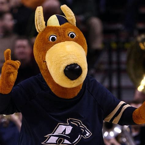 The Akron Zips And D1 College Mascots Nobody Has Ever Seen In Real Life