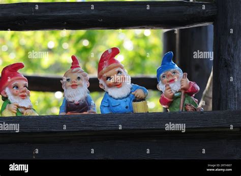 A Bunch Of Happy Garden Gnomes Four Garden Gnomes Stock Photo Alamy