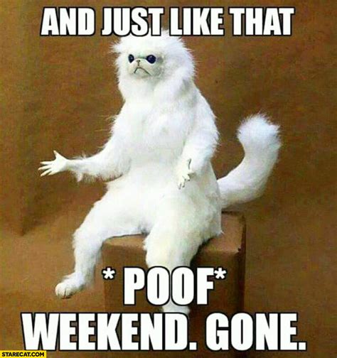 And Just Like That Poof Weekend Gone