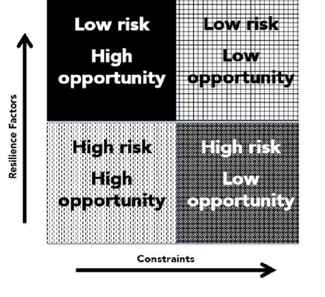 Riskopportunity Matrix Download Scientific Diagram