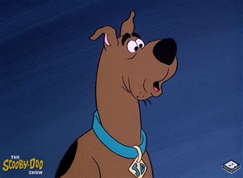 Scared Scooby Doo  By Boomerang Official Find And Share On Giphy