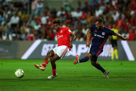 Gedson fernandes, 22, from portugal tottenham hotspur, since 2019 central midfield market value: Calciomercato Milan: piace il portoghese Fernandes. Ma ...