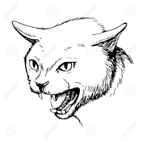 Here presented 53+ angry cat drawing images for free to download, print or share. Angry Cat Drawing at GetDrawings | Free download