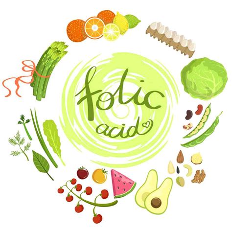 Top Foods High In Folate Folic Acid You Should Be Eating Page