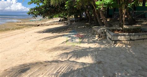 white sand beach property for sale in san remigio cebu