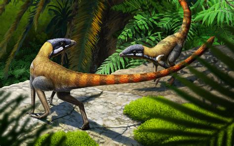 Triassic Specimen Found To Be Early Relative Of Pterosaurs A Century