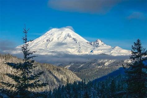 Mount Rainier Appearance By Lynn Hopwood Featured In The Fine Art