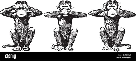 Three Wise Monkeys Drawing