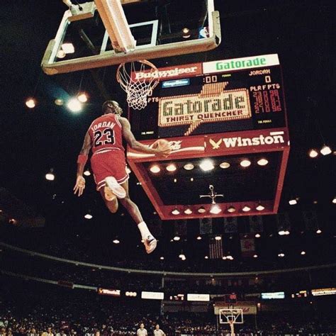 Michael Jordan His Royal Airness
