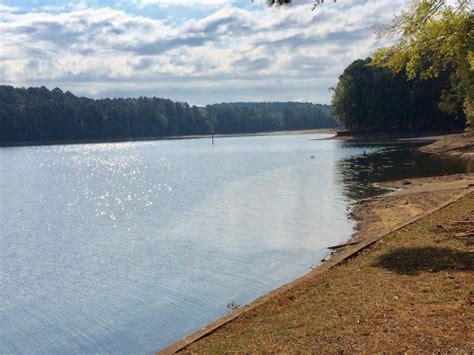 Maybe you would like to learn more about one of these? 8 Best Beaches in Louisiana for 2020 (and Here's Why ...