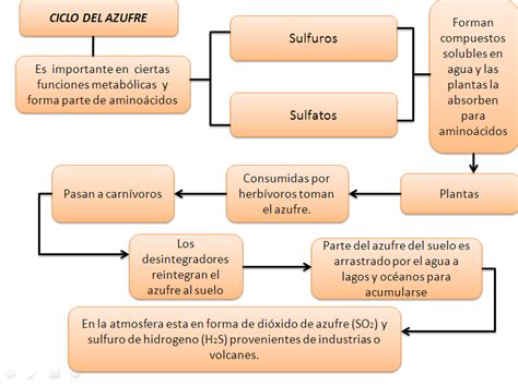 Ecología Ciclo Del Azufre