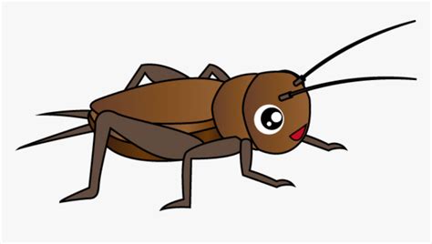 Cricket Insect Clipart Png Insect Clipart Png Transparent Png