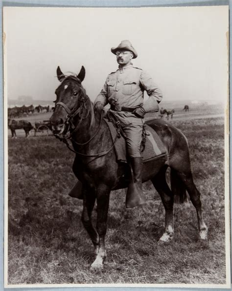 t r the rough rider hero of the spanish american war theodore roosevelt birthplace national