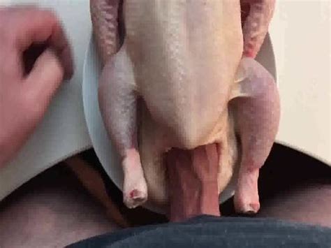 Man Fucking Chicken Porn Videos My Xxx Hot Girl
