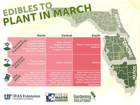 We did not find results for: Florida Edibles to Plant in March