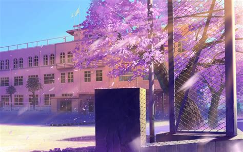 Anime School Scenery Wallpapers Top Những Hình Ảnh Đẹp