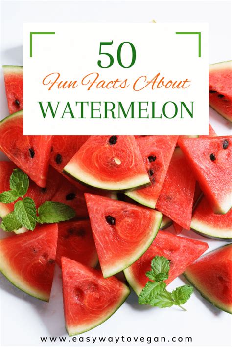 Facts You Need To Know About Watermelon Easy Way To Vegan