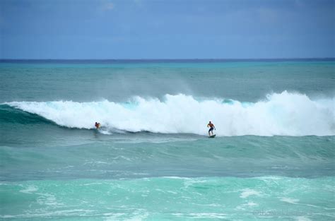 Surfers And Turtles Visiting North Shore Oahu The World Is A Book