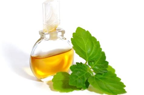 Patchouli Essential Oil Health Benefit As Antiphlogistic And Antidepressant