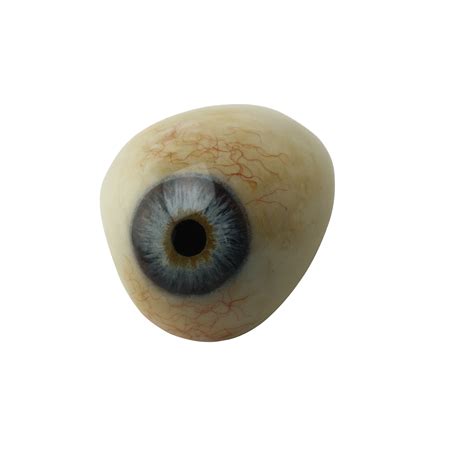 Realistic Eye Png Png Photo Download