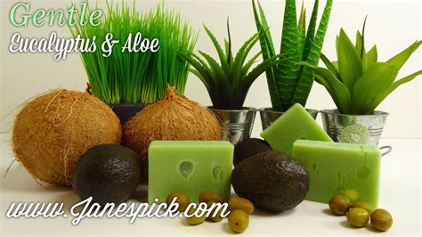 Among the benefits of the organic oatmeal soap is that oatmeal provides benefits including acting as. Avocado Oil, base ingredients our handmade soap, hydrates ...